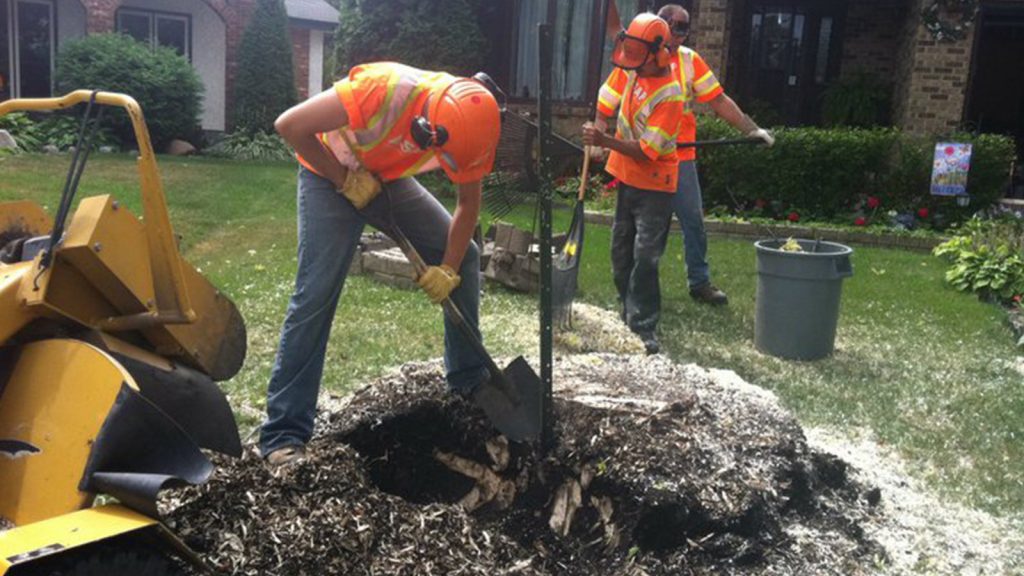 ASAP Stump Grinding and removal
