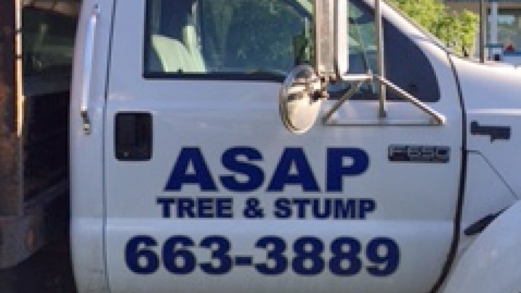 ASAP Tree & Stump TRUCK