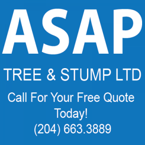 Get your free quote