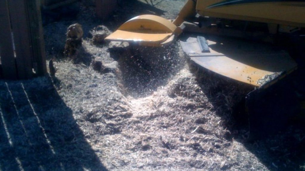 Stump Grinding and removal